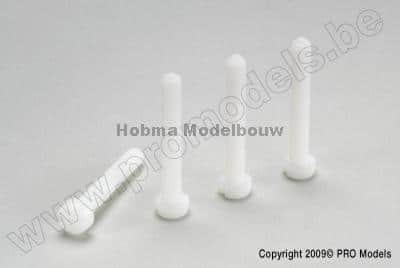 Cilinder bout met zaaggleuf nylon M 4 X10 mm 5 st