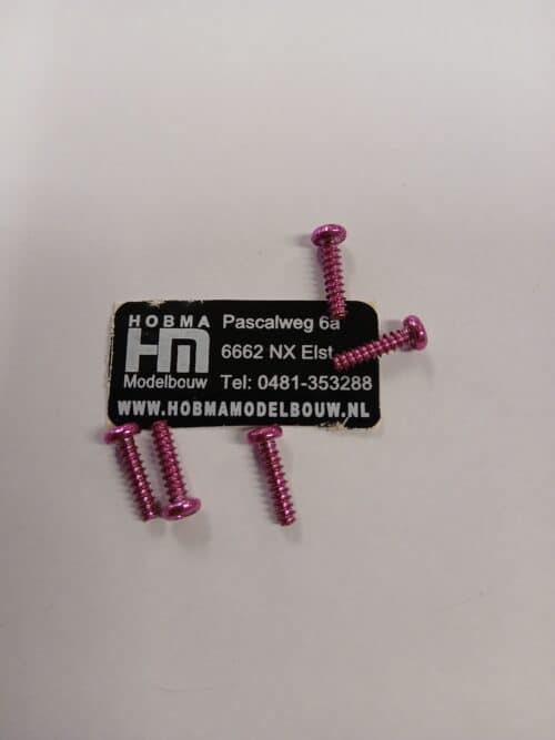 Bol cilinder schroef met kruiskop 3 x 12 mm 10 st