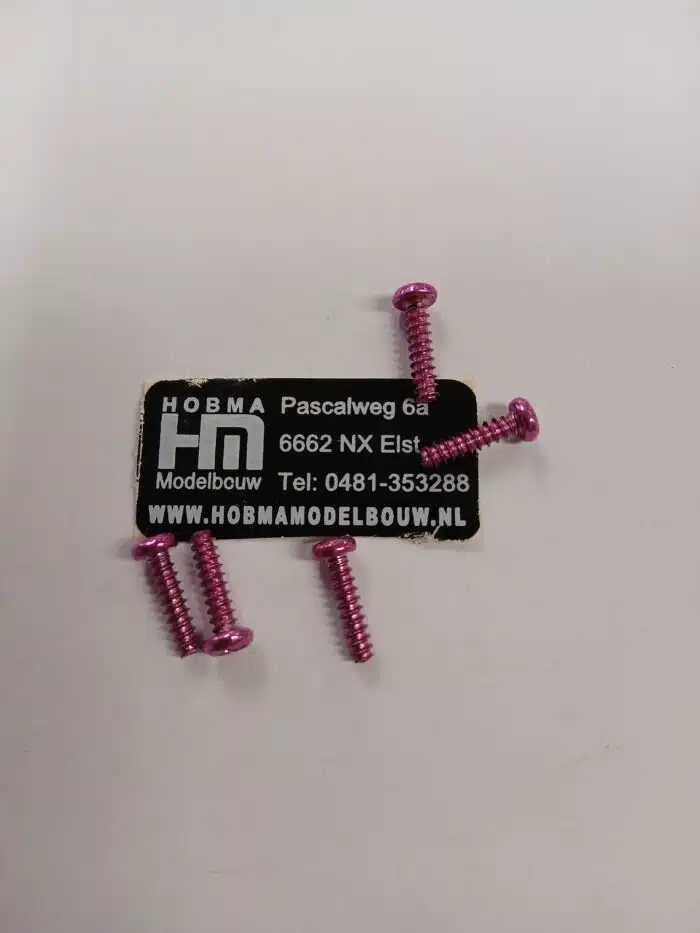 Bol cilinder schroef met kruiskop 3 x 12 mm 10 st