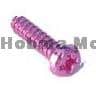 Bol cilinder schroef met kruiskop 3 x 6 mm 10 st