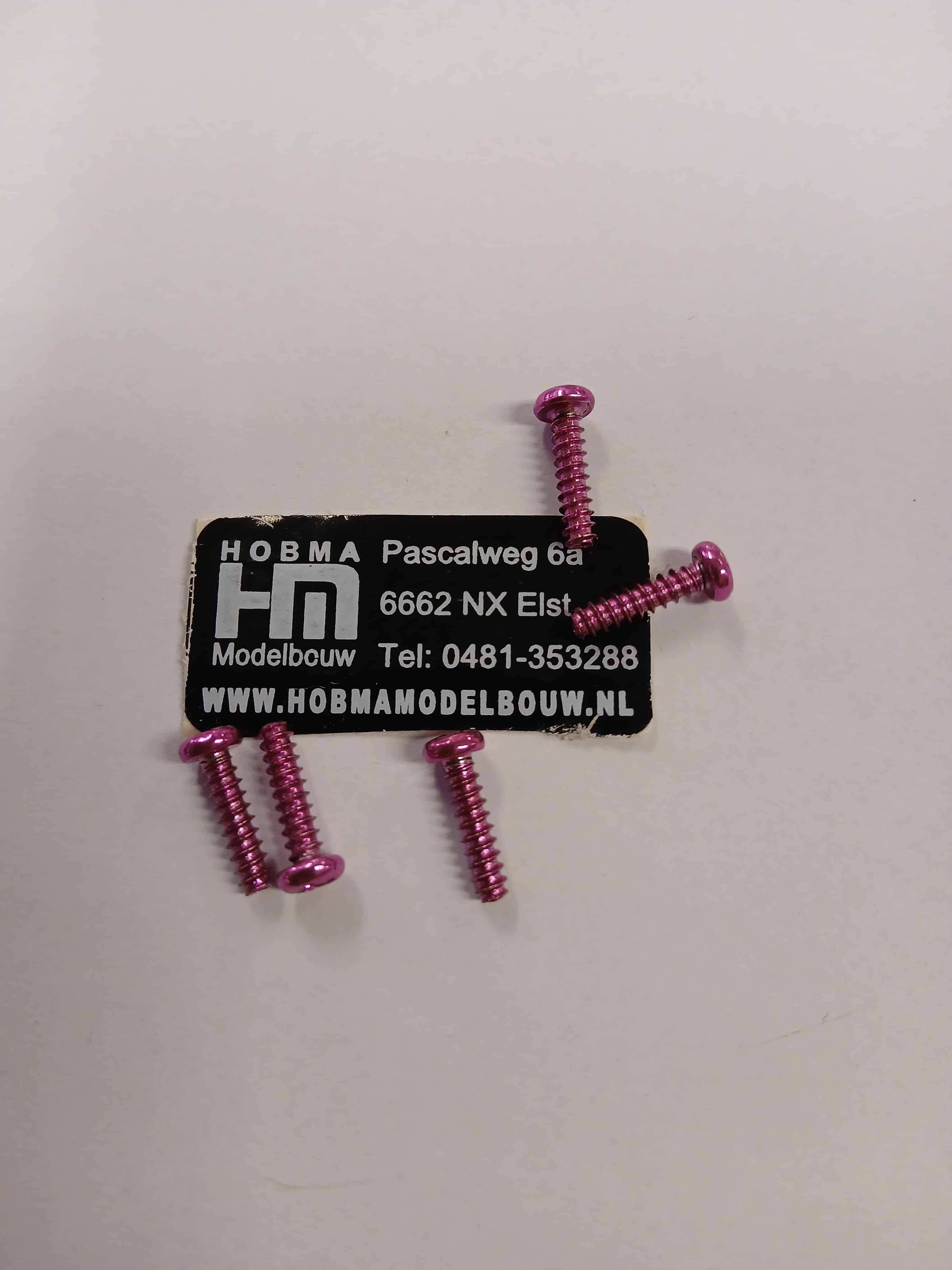 Bol cilinder schroef met kruiskop 3 x 8 mm 10 st