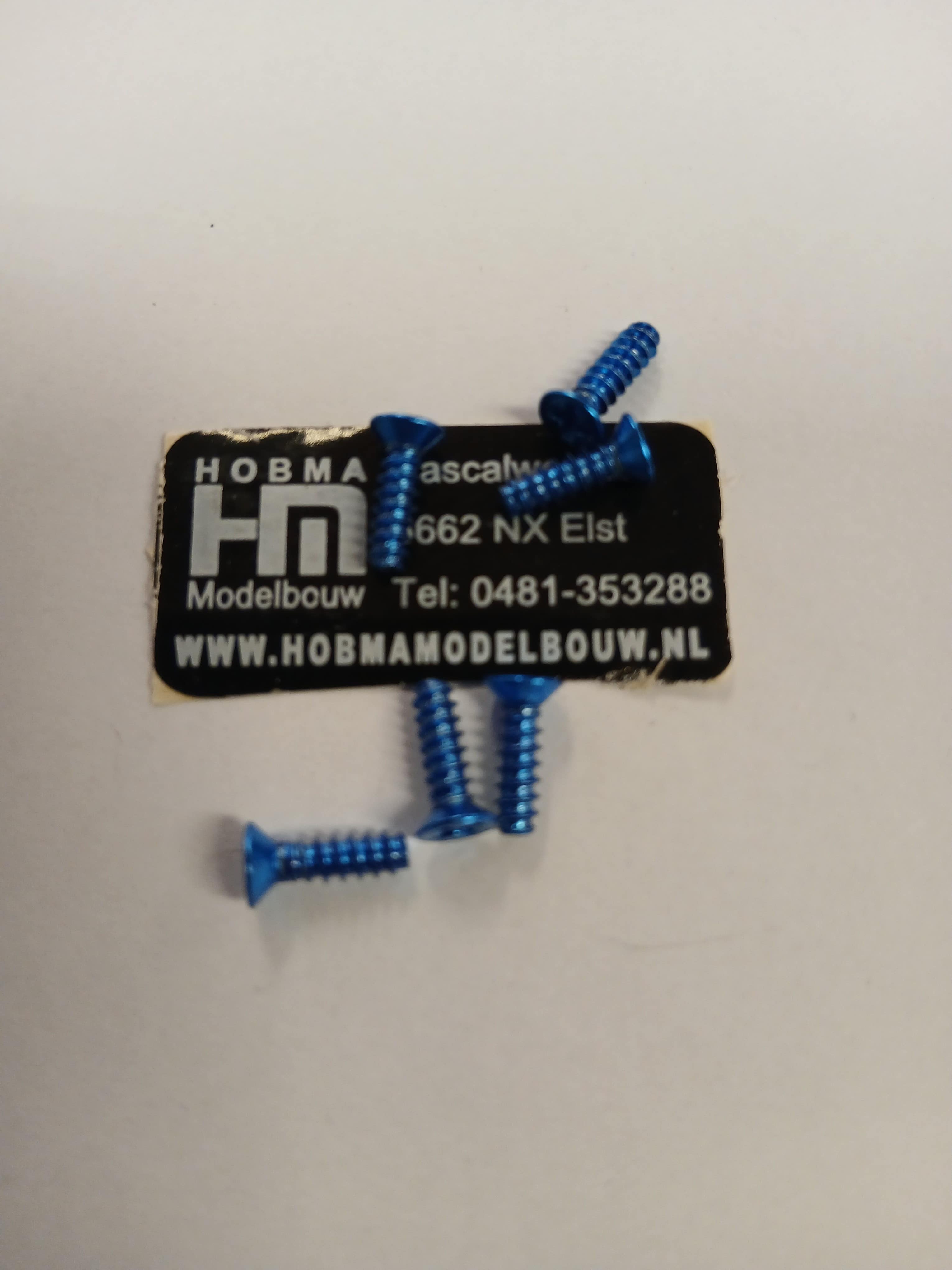 Verzonken schroef blauw met Phillips kruissleuf M3 x 18 mm 10 st