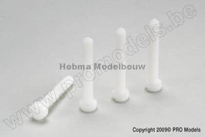 Cilinder bout met zaaggleuf nylon M 4 X 20 mm 5 St