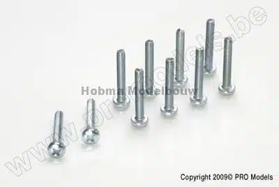 Bolcilinderschroef Met Philips Kruissleuf M2,5 X 12 mm 10 St