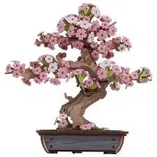 Robotime TG415 Sakura Bonsai