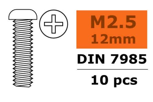 Bolcilinderschroef Met Philips Kruissleuf M2,5 X 12 mm 10 St