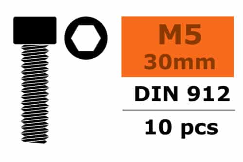 Inbus cilinder kop m 5 X 30 mm Staal 10 St