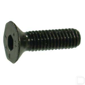 Inbus verzonken kop m 4 X 6 Staal 4,6 mm 10 St