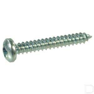 Bolkop plaatschroef zelftapper kruiskop 3,5 X 25 mm 10 St