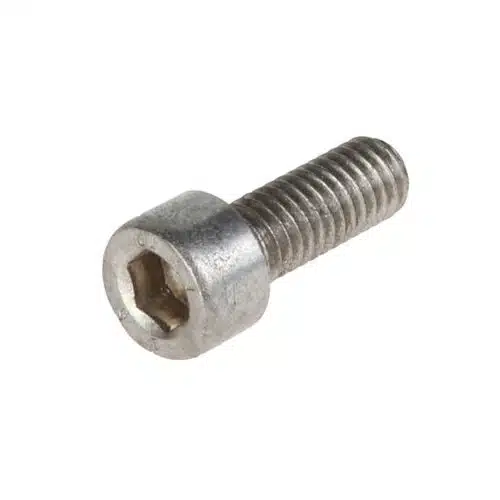 Cilinder bout Met inbus RVS m 3 X 8 mm 10 St